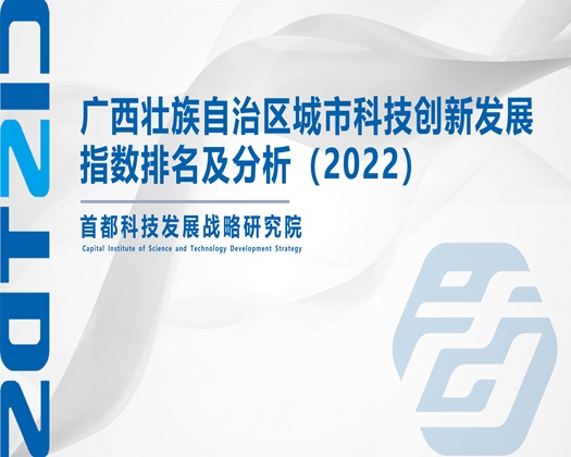 美女搞B【成果发布】广西壮族自治区城市科技创新发展指数排名及分析（2022）